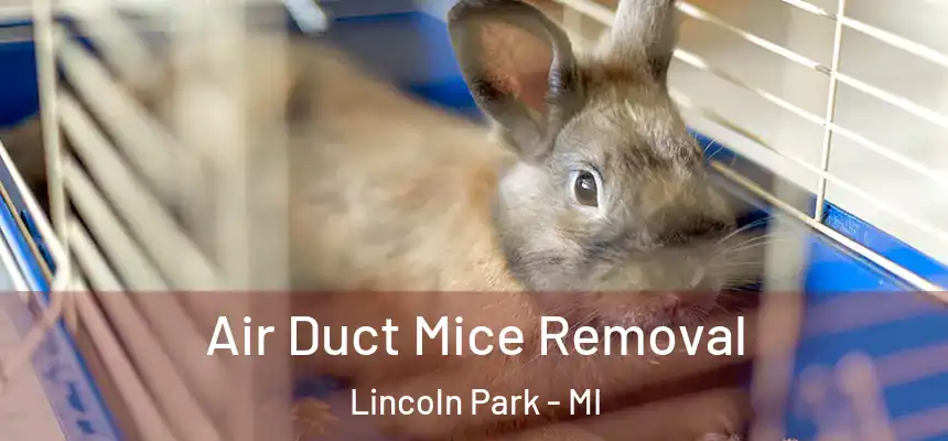  Air Duct Mice Removal Lincoln Park - MI