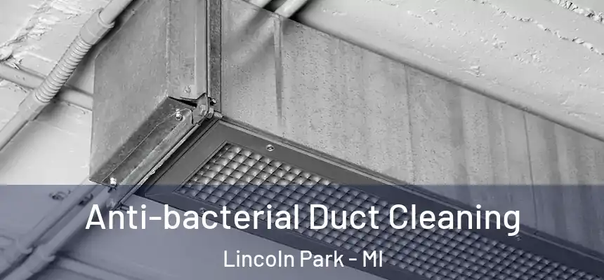  Anti-bacterial Duct Cleaning Lincoln Park - MI