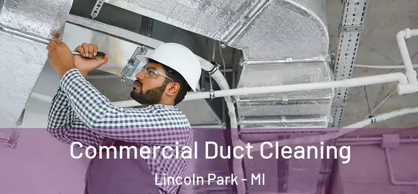  Commercial Duct Cleaning Lincoln Park - MI
