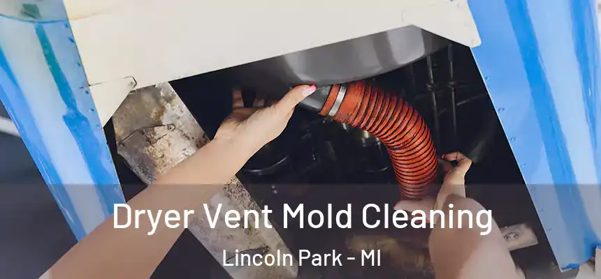  Dryer Vent Mold Cleaning Lincoln Park - MI