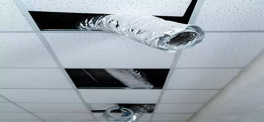 Our Air Duct Pet Hair Removal Services in Lincoln Park, MI