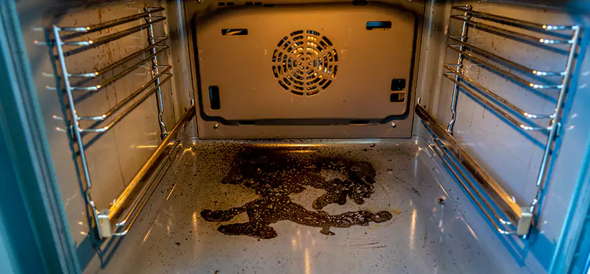 Our Dryer Vent Mold Cleaning Services in Lincoln Park, MI