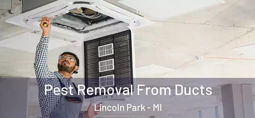  Pest Removal From Ducts Lincoln Park - MI