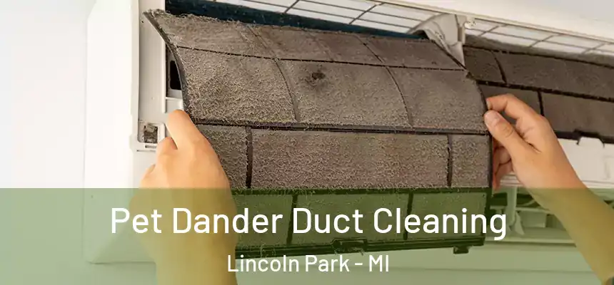  Pet Dander Duct Cleaning Lincoln Park - MI