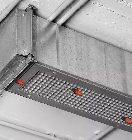 About Air Duct Cockroach Removal in Lincoln Park, MI