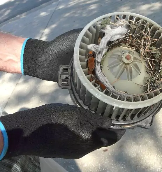 About Air Duct Rat Removal in Lincoln Park, MI