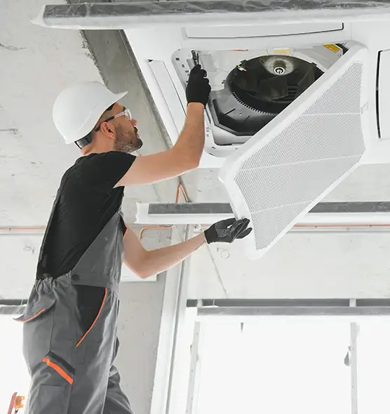 About Air Duct Rodent Removal in Lincoln Park, MI