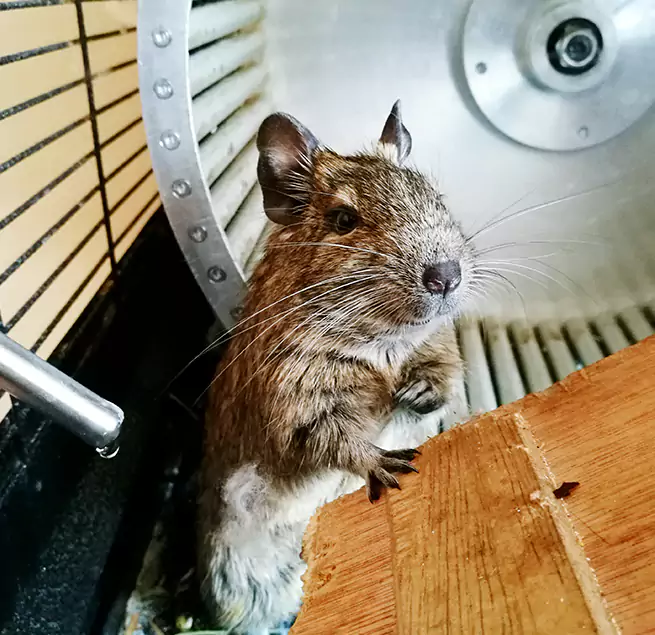 Why Homeowners & Businesses Trust Us Lincoln Park, MI