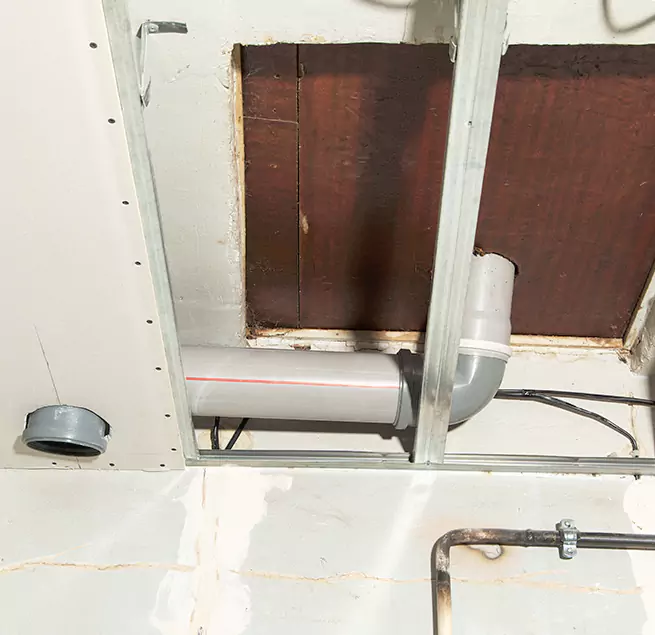 Why Homeowners & Businesses Trust Us in Lincoln Park, MI?