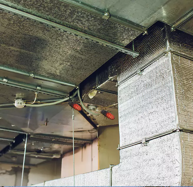 Why Homeowners & Businesses Trust Us Lincoln Park, MI?