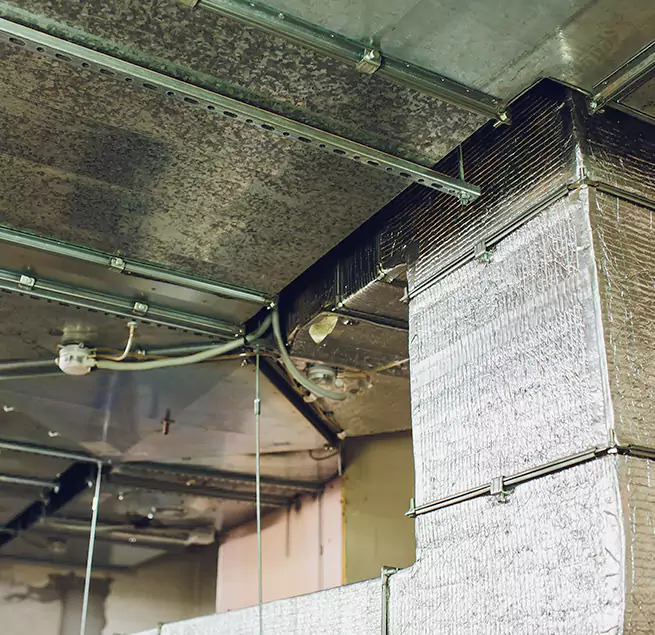 Why Homeowners & Businesses Trust Us in Lincoln Park, MI?