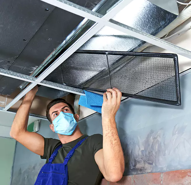 Why Homeowners & Businesses Trust Us in Lincoln Park, MI?